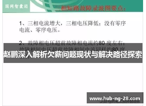 赵鹏深入解析欠薪问题现状与解决路径探索