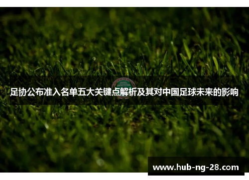 足协公布准入名单五大关键点解析及其对中国足球未来的影响