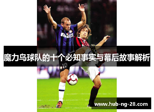 魔力鸟球队的十个必知事实与幕后故事解析