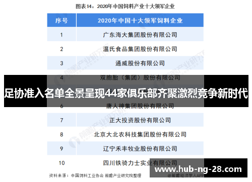 足协准入名单全景呈现44家俱乐部齐聚激烈竞争新时代 足协准入名单全景呈现44家俱乐部齐聚激烈竞争新时代